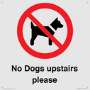 no-dogs-upstairs-please-~